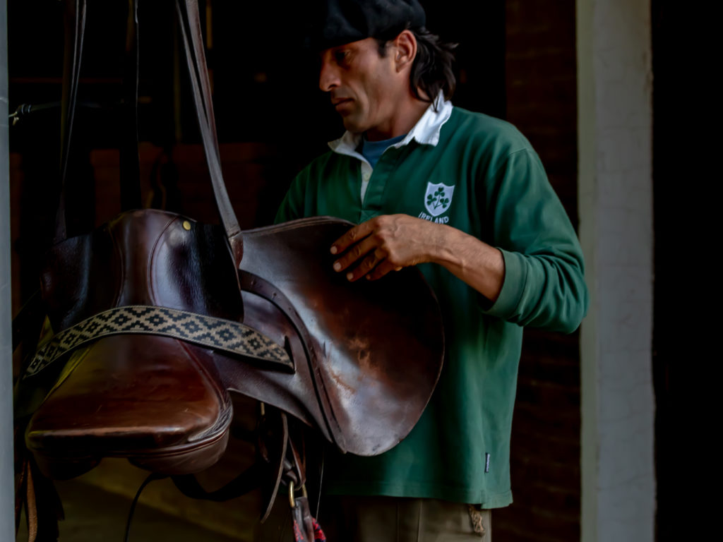 Descubre el equipamiento especial para el polo