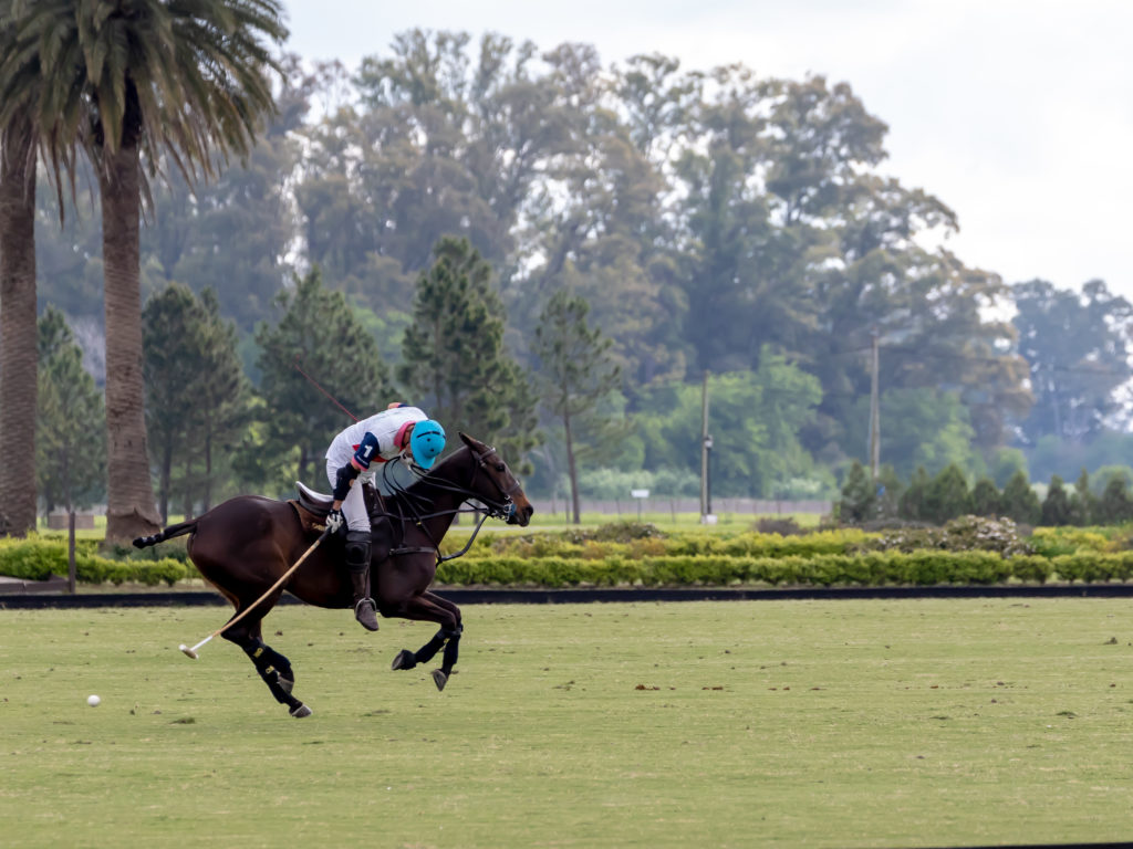 Assister aux entraînements des joueurs et chevaux