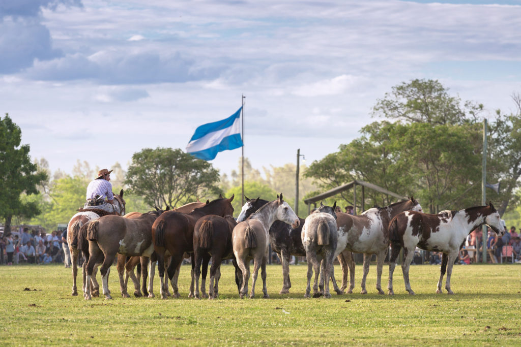 Participa al Festival de la tradición en San Antonio de Areco