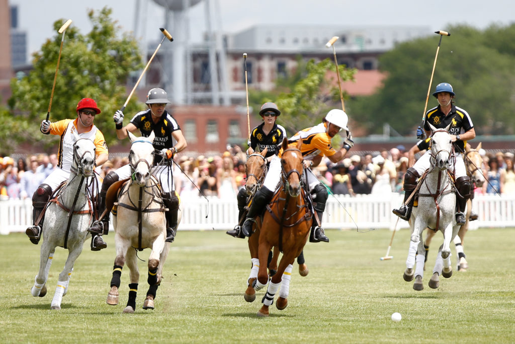 Watch a professional polo game