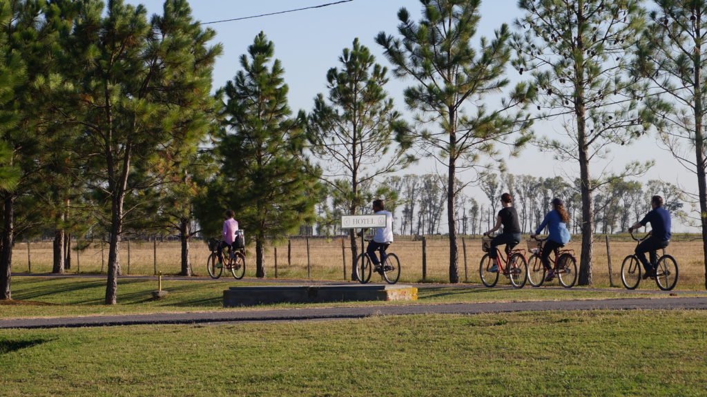 Paseos en bicicletas