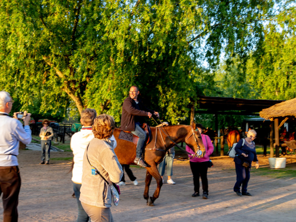 Balades à cheval